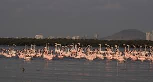 The Best Parks and Green Spaces in Mumbai